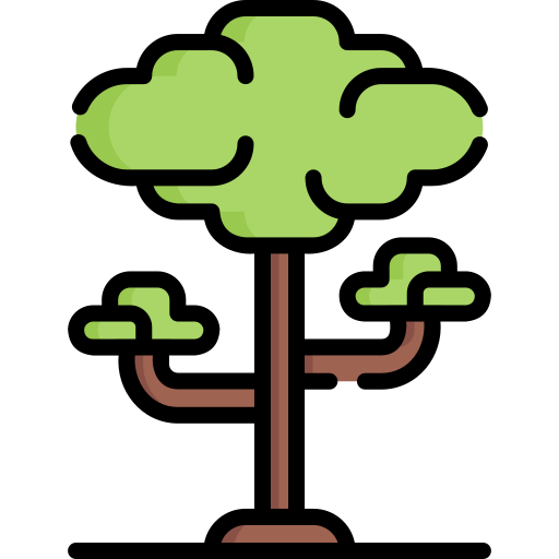 Albero