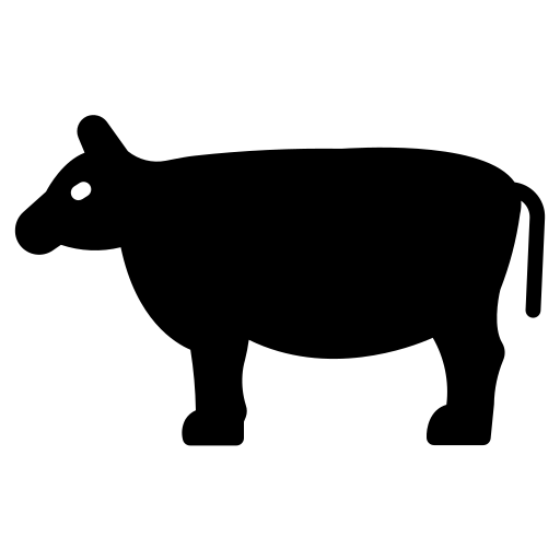 Mucca