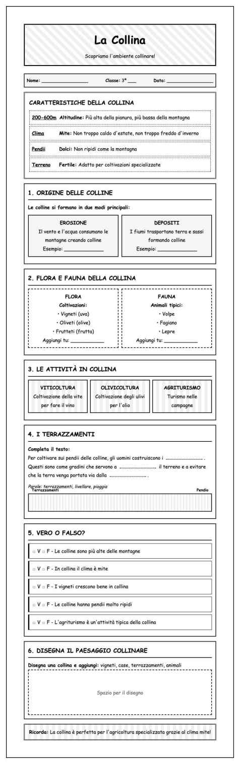 Scheda Collina