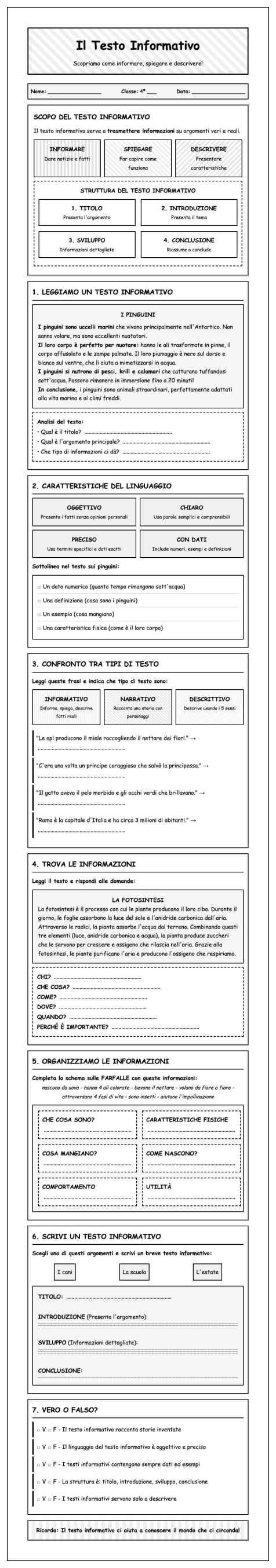 Scheda Testo informativo