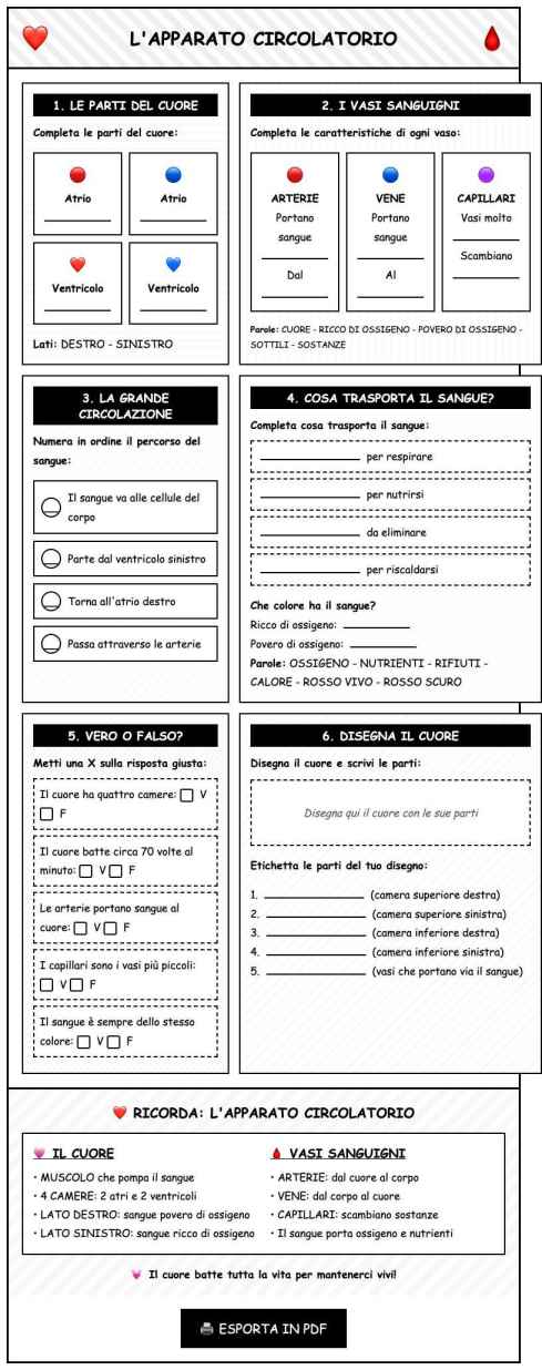 Scheda Apparato circolatorio