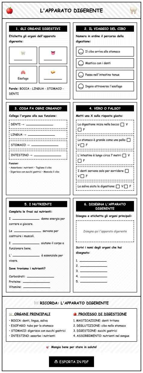 Scheda Apparato digerente