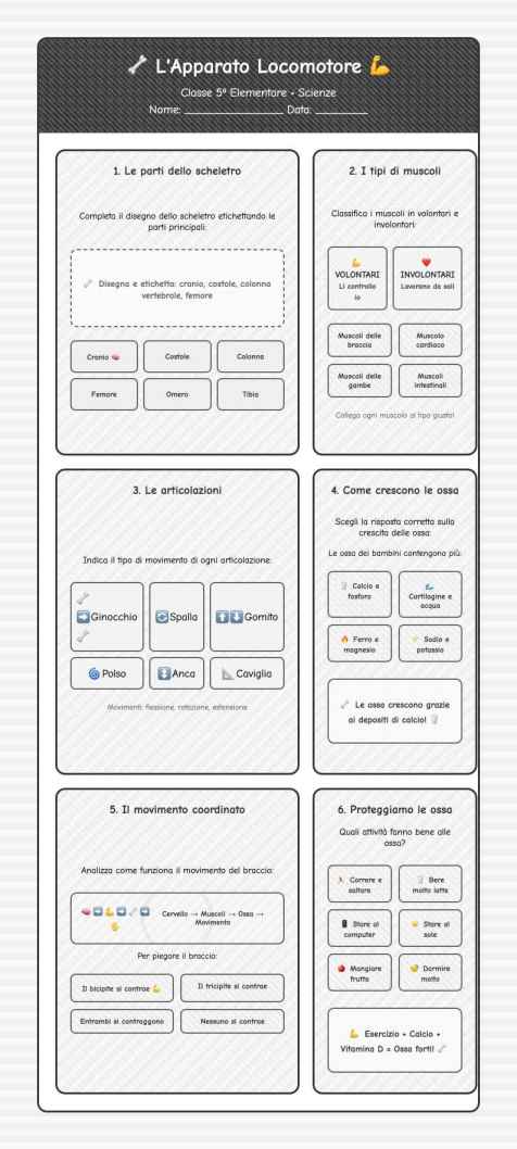Scheda Apparato locomotore