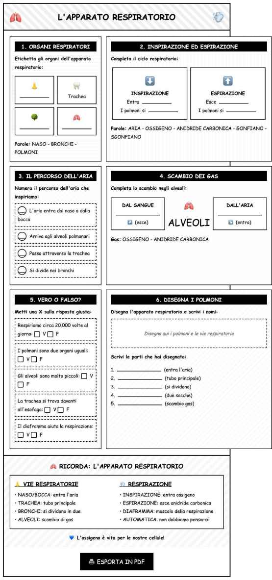 Scheda Apparato respiratorio