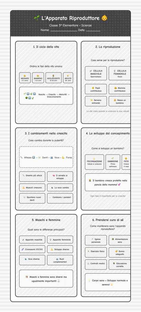 Scheda Apparato riproduttore