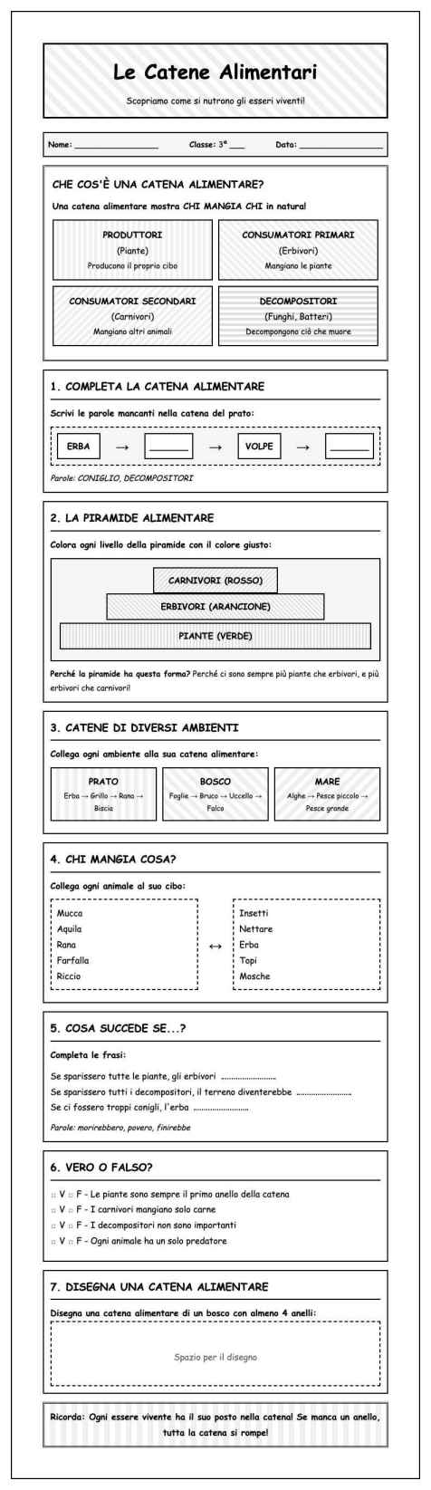 Scheda Catene alimentari