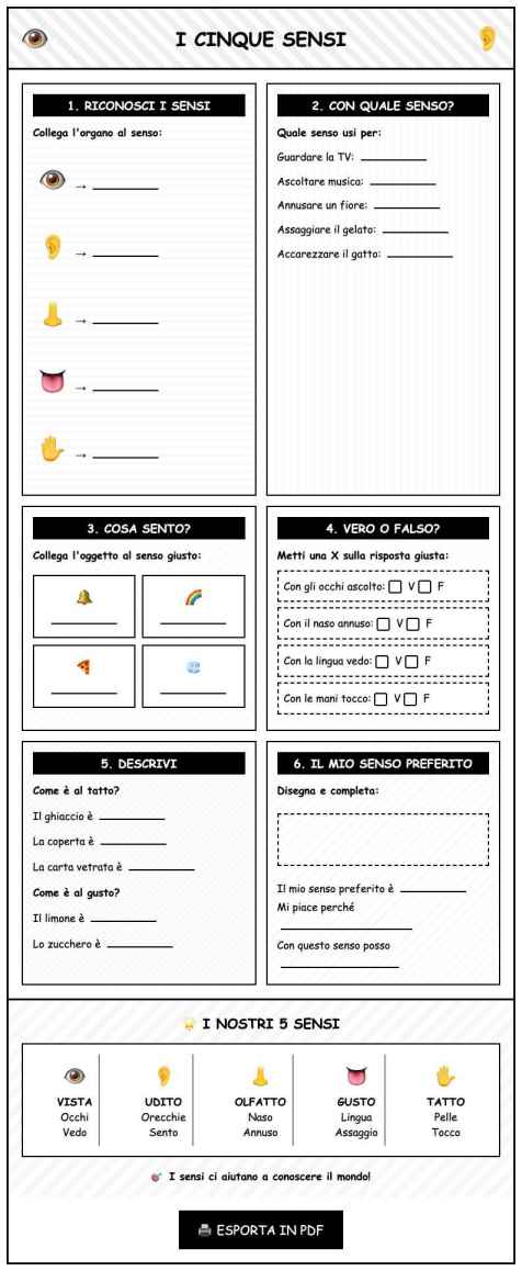Scheda Cinque sensi
