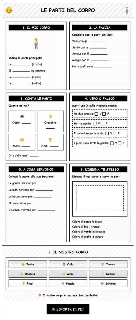 Scheda Parti corpo