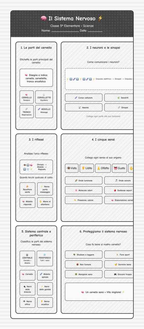 Scheda Sistema nervoso
