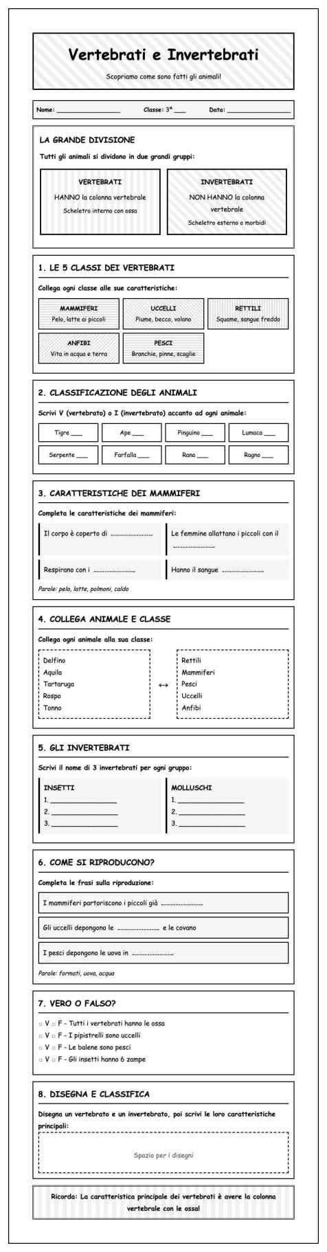 Scheda Vertebrati invertebrati